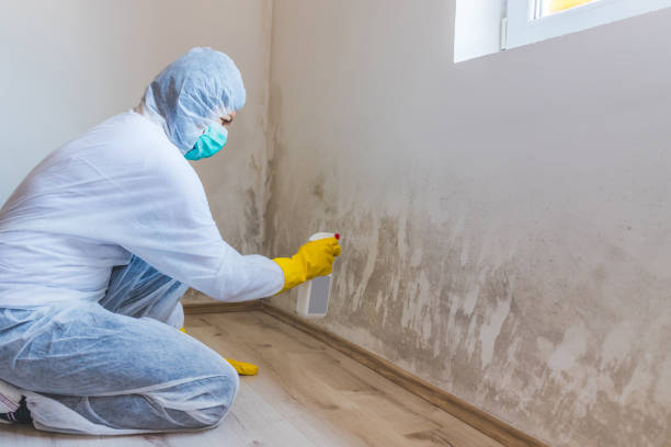 Bathroom Mold Removal assessment in LaFayette bathroom