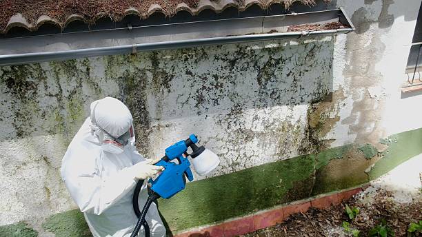 Mold Remediation service in LaFayette, LaFayette, GA
